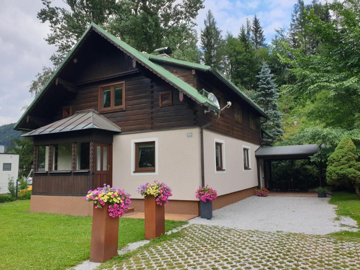 Freeride-Living Villa Annaberg im Lammertal Exterior photo